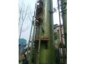 電廠(chǎng)45噸脫硫除塵器